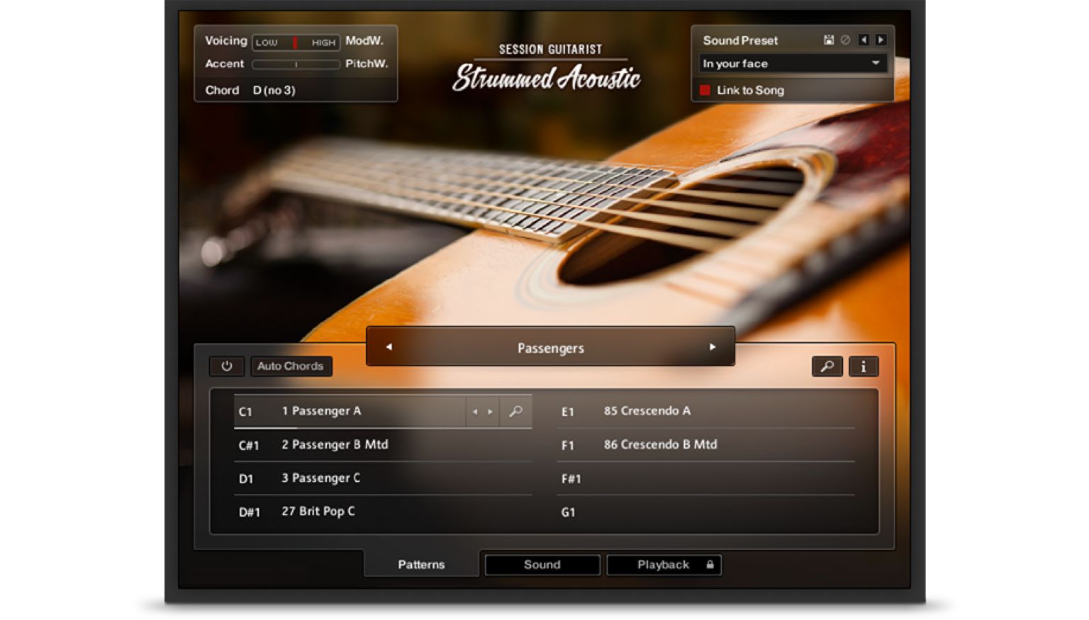 Native Instruments Session Guitarist - Strummed Acoustic